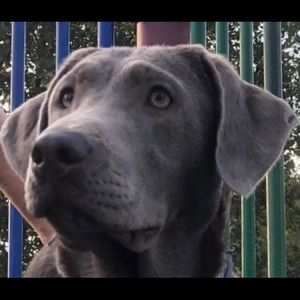 Meet your Posher, Stacy